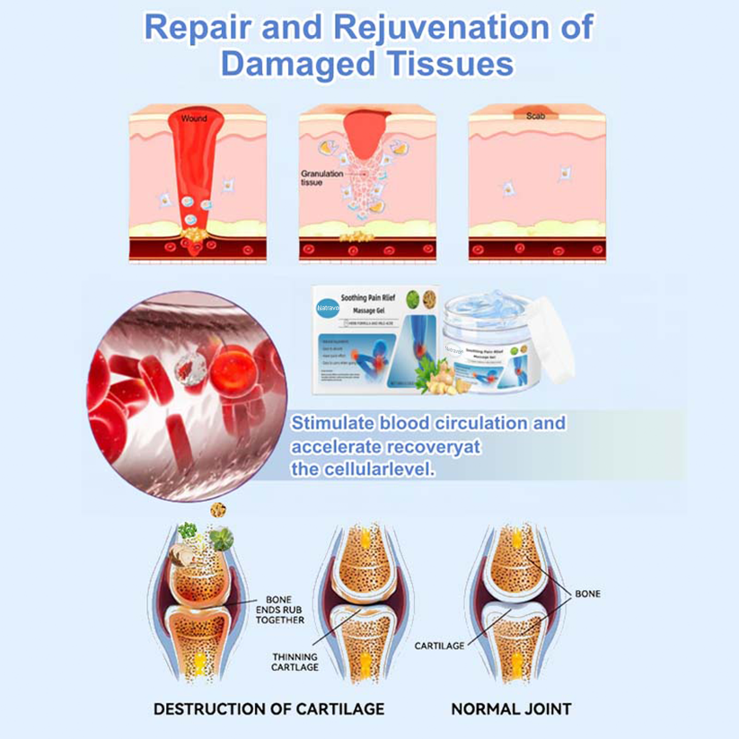 Joint Relief Gel – Natural Herbal Ointment Wellness